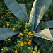 Marcia Falk Photo 9