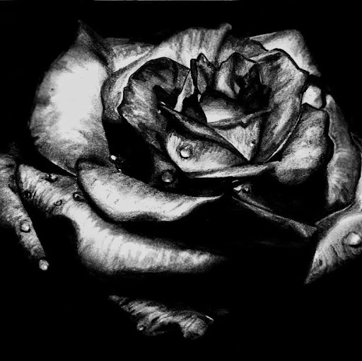 Donna Ruth Photo 24