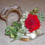 Pamela Hill Photo 29