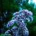 Melissa Weed Photo 11