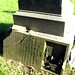 John Runyan Photo 17