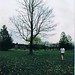 Sarah Hopkins Photo 26