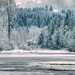Lewis Long Photo 13