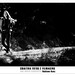 Julia Robison Photo 14