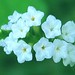 Tien Trinh Photo 27