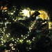 Sharon Rogers Photo 9