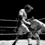 Thomas Chamberlain Photo 41