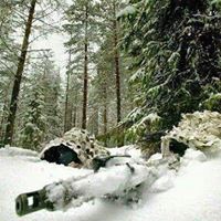 Andrew Dow Photo 29
