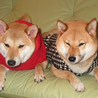 Ruby Yu Photo 9