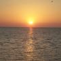 Janice Belcher Photo 8