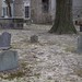 Mary Phipps Photo 23