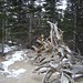 Amy Root Photo 42