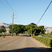 Edna Downing Photo 15