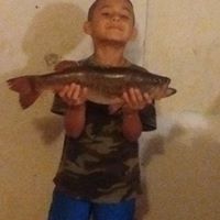 Robert Allred Photo 17