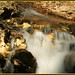 Janice Bain Photo 22