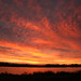 Patrick Marsh Photo 41