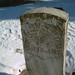 Thomas Fleming Photo 18