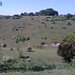Catherine Downs Photo 17