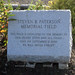 Steven Fields Photo 12