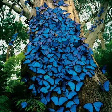 Teresa Armstrong Photo 36