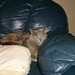 Mary Kilbride Photo 9