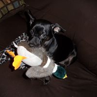 Ruth Waggoner Photo 14