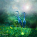 Michael Colyer Photo 32
