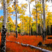 Tracy Estes Photo 10
