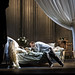 David Barr Photo 14