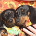Ann Mackey Photo 32