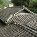 Liang Zhang Photo 36