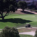 Debra Collins Photo 5