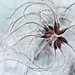 Joy Weiss Photo 28