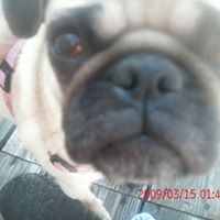 Michele Carroll Photo 7