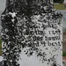 George Knowles Photo 42