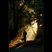 Dawn Friend Photo 22