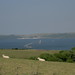 Thomas Downing Photo 31