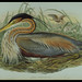 Edward Gould Photo 36