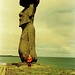 Daniel Pisano Photo 6