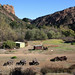 Roger Linville Photo 9