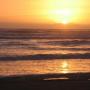 Lindsey Harris Photo 38