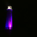 Mary Light Photo 14