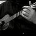 John Howlett Photo 32