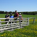 Shirley Cross Photo 14
