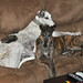 Michael Reinert Photo 40