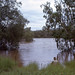 Margaret Downing Photo 22