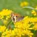 Debra Heath Photo 15