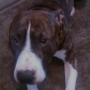 William Kinney Photo 49