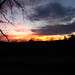 Constance Wright Photo 14