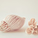 Krista Summers Photo 5